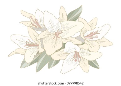 Flower lily, light yellow