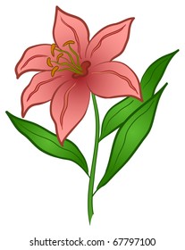Flower lily, love symbol, floral gift, isolated