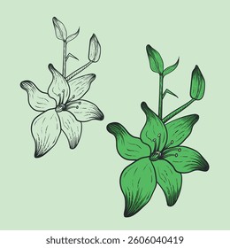 Flower Lily Vintage Vector Illustration