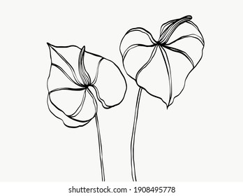 Flower line art. abstract modern or minimal. perfect for home decor such as posters. vector illustrations design.