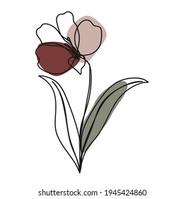 flower Line art background. Abstract minimal flower design for cover, prints, floral wall art, Home decor picture, fabric and wallpaper. Vector illustration