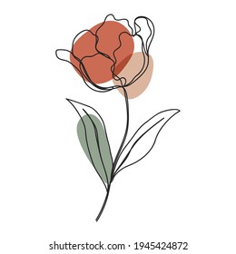 flower Line art background. Abstract minimal flower design for cover, prints, floral wall art, Home decor picture, fabric and wallpaper. Vector illustration
