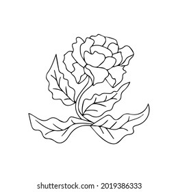 Flower line art black and white