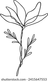 Flower Line Art | Continuous Line | Botanical Floral Design | Vector Illustration