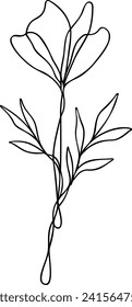 Flower Line Art | Continuous Line | Botanical Floral Design | Vector Illustration