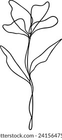 Flower Line Art | Continuous Line | Botanical Floral Design | Vector Illustration