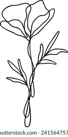 Flower Line Art | Continuous Line | Botanical Floral Design | Vector Illustration