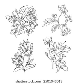Flower Line art design for coloring book 