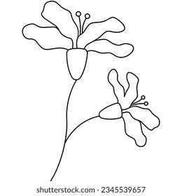 Flower line art. Design element with floral theme.