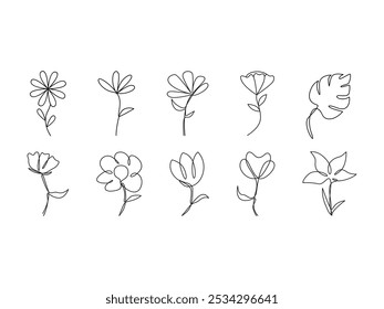 Flower Line Art Element Set