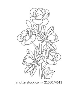 flower line art elements object coloring page isolated on black and white background