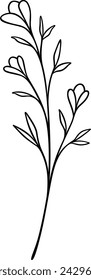 Flower Line Art | Floral Vector Illustrations | Leafy Botanical Designs svg