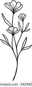 Flower Line Art | Floral Vector Illustrations | Leafy Botanical Designs