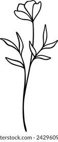 Flower Line Art | Floral Vector Illustrations | Leafy Botanical Designs