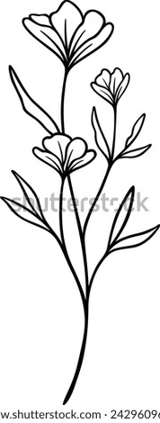 Flower Line Art | Floral Vector Illustrations | Leafy Botanical Designs