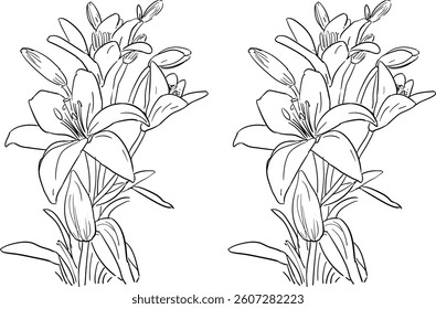 Flower Line Art , Hand Drawn Vector Illustration