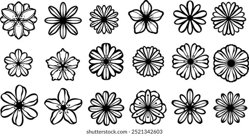 Flower line art icon set, hand drawn doodle, daisy illustration, isolated