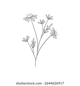 flower line art illustration for decoration