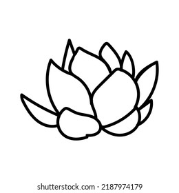 flower line art illustration vector elements design