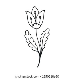 Flower line art logo element. Hand drawn wedding herb. Decoration element for design invitation, wedding cards, valentines day.