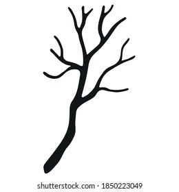 Flower line art logo element. Hand drawn wedding herb. Decoration element for design invitation, wedding cards, valentines day. Hand drawn branch without leaves isolated on white