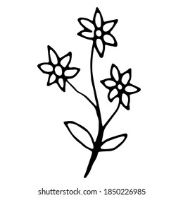 Flower line art logo element. Decoration element for design invitation, wedding cards, valentines day.