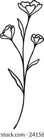 Flower Line Art | Minimalist Botanical Design | Nature Vector Artwork