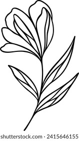 Flower Line Art | Minimalist Botanical Design | Nature Vector Artwork