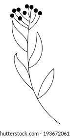 flower line art. Minimalist contour drawing. floral isolated on white background