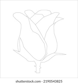 flower line art. Minimalist contour drawing. One line artwork