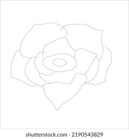 flower line art. Minimalist contour drawing. One line artwork