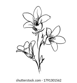 Flower line art. Minimalistic contour drawing. Line art work. Han drawn flower illustration