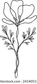 Flower Line Art | Single Line Botanical Design