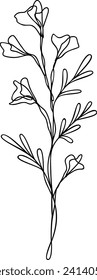 Flower Line Art | Single Line Botanical Design