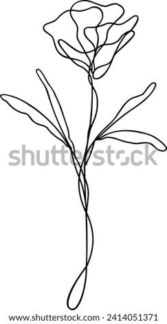 Flower Line Art | Single Line Botanical Design