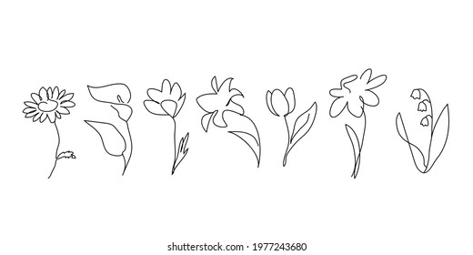 flower line art spring summer leaf