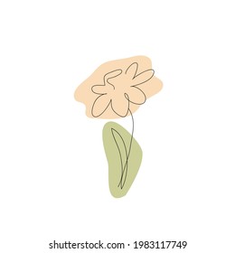 flower line art spring summer leaf