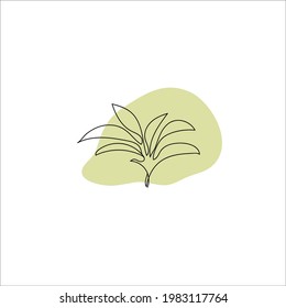 flower line art spring summer leaf