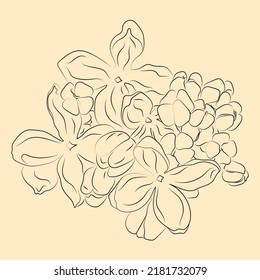 Flower in line art style. Set of flowers. Minimalistic contour drawing. Line artwork