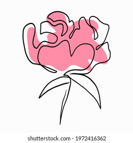 Flower in line art style. Vector, simple lines. Single isolated garden flower. Peony or rose.