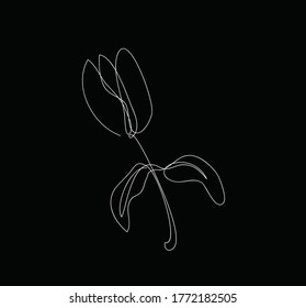 flower line art vector design. black background.