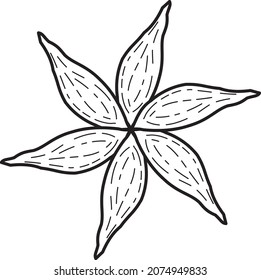 Flower Line Art Vector Graphics
