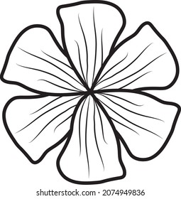 Flower Line Art Vector Graphics