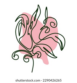 Ilustración vectorial de la línea de flor. Dibujo continuo de una sola línea simple Elemento botánico dibujado mano.