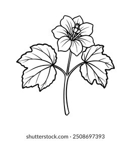  flower line art vector illustration