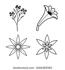 Flower Line Art Vector Illustrations Bundle