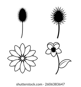 Flower Line Art Vector Illustrations Bundle