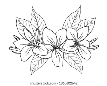 Flower Line Art.  You use on greeting card, frame, shopping bags, wall art, wedding invitation, decorations, and t-shirts
