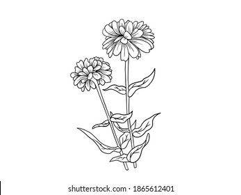 Flower Line Art.  You use on greeting card, frame, shopping bags, wall art, wedding invitation, decorations, and t-shirts
 svg