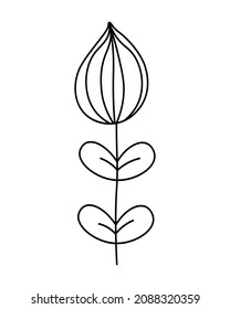 Flower line decoration. Drawing for design, logo, postcard, decor, tattoo. Herbal tea. Vector illustration in doodle style isolated on background.